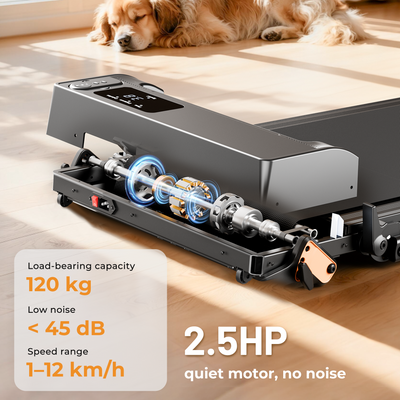 JAGJOG JT52 2-in-1 Treadmill with Incline