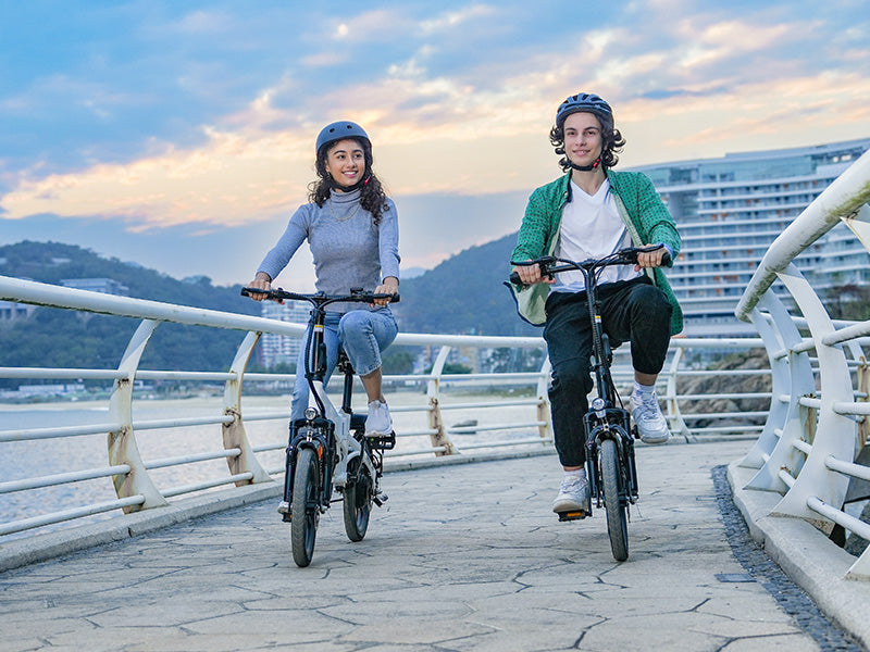 electric bike for adults