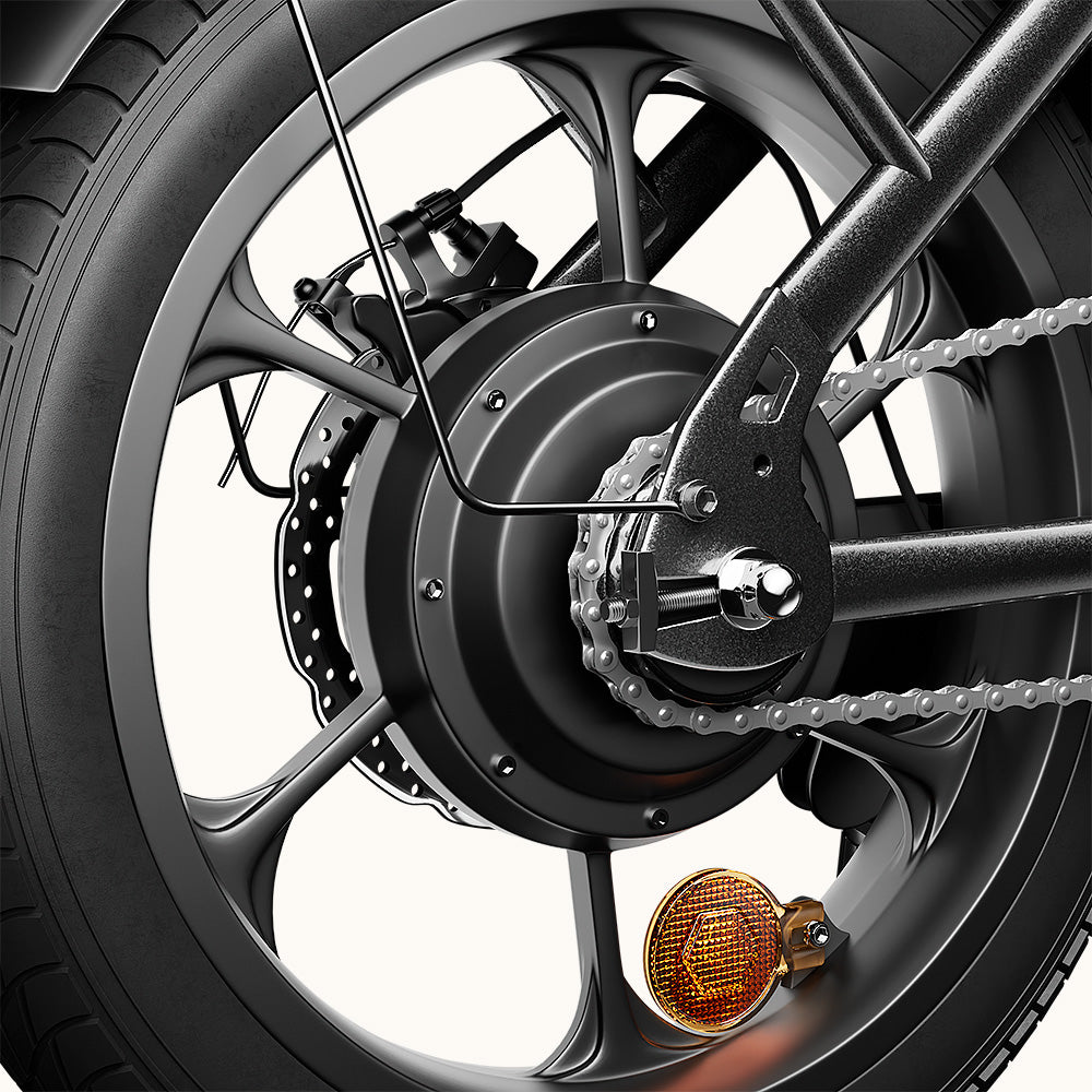 Disc Brake & 250W Motor